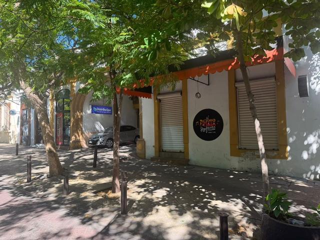Foto de la galeria de imagenes