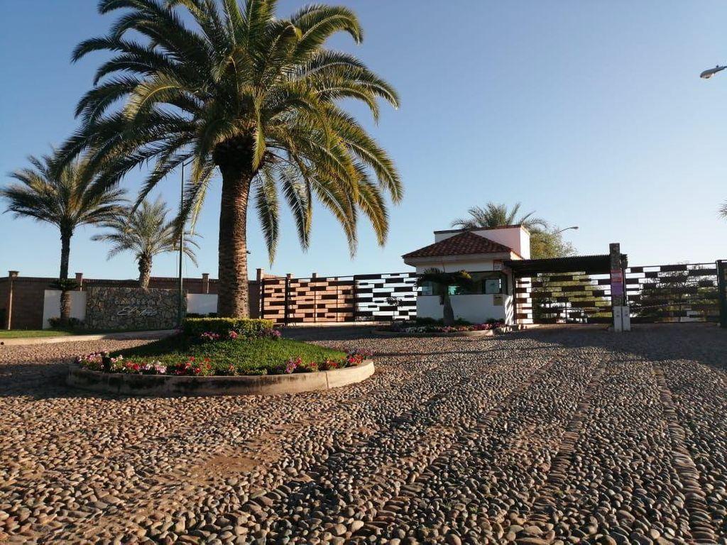 Foto de la galeria de imagenes
