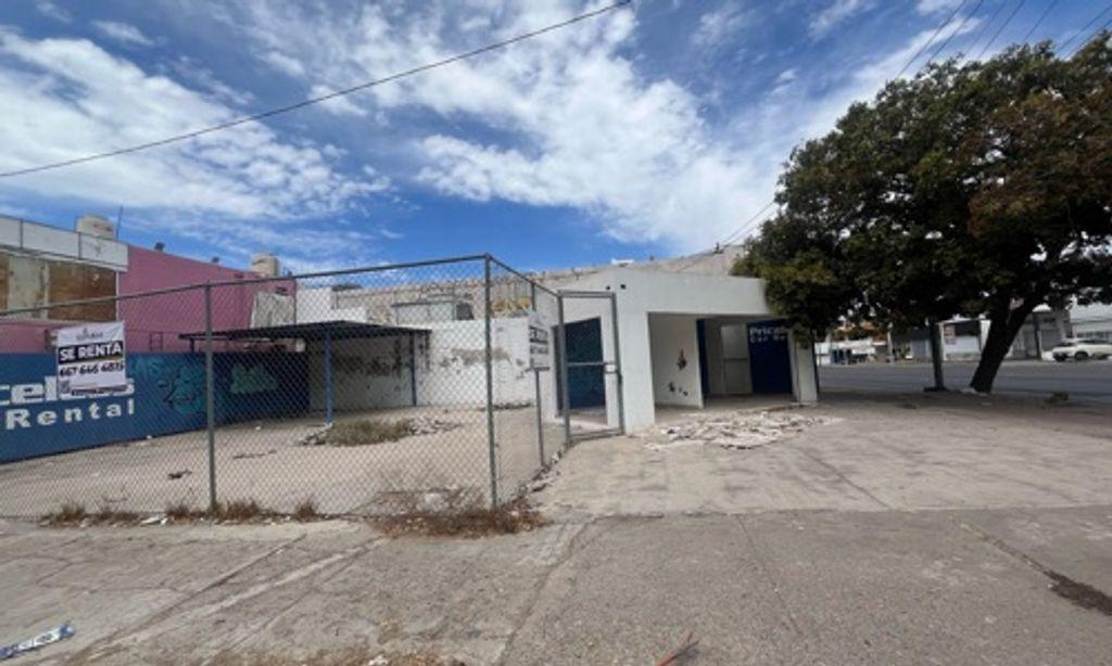 Foto de la galeria de imagenes
