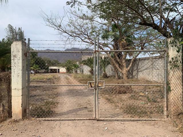 Foto de la galeria de imagenes