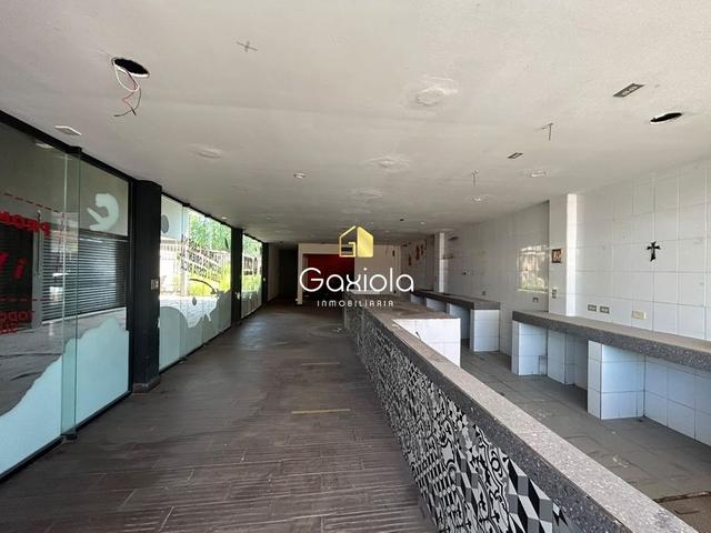 Foto de la galeria de imagenes